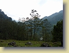 Sikkim-Mar2011 (136) * 3648 x 2736 * (4.47MB)
